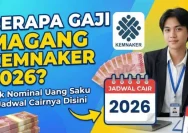 Magang Nasional 2026: Jadwal, Kuota, Uang Saku, dan Skema Baru untuk Pemuda Indonesia