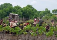 MAN 2 Pati Gandeng Misaja Mitra Tanam 2.000 Mangrove di Pantai Keboromo