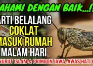 Membedah Makna Mimpi Bertemu Belalang Hitam dan Simbolisme Lainnya