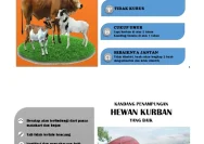 Membedah Sains Penyembelihan Hewan Kurban: Metode Syariat vs Konvensional
