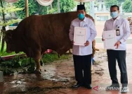 Menag Nasaruddin Umar Jelaskan Tiga Kategori Hewan Kurban di Masjid Istiqlal