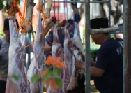 Mengetahui Siapa yang Berhak Menerima Daging Kurban di Hari Raya Iduladha