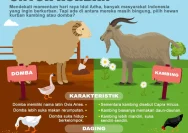 Panduan Cerdas Membedakan Daging Sapi, Kerbau, Kambing, dan Domba