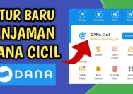 Panduan Lengkap Cara Daftar dan Aktifkan DANA Cicil untuk Transaksi Mudah
