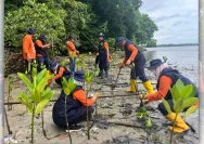 Pemkab Pinrang Tanggapi Cepat Ancaman Abrasi di Duampanua