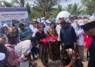 Pemprov Kepri Selidiki Penjualan Pulau Katang Seharga Rp 65 Miliar yang Viral