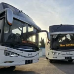 Perum Damri Resmi Luncurkan 10 Bus Baru untuk Trip 3 Negara ALBN