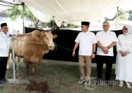 Polres Pelabuhan Makassar Distribusikan 500 Kg Daging Kurban untuk Warga pada Iduladha 1447 H