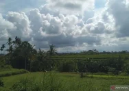 Prakiraan Cuaca Bali: Cerah Berawan Menyambut Akhir Pekan 29 Mei 2026