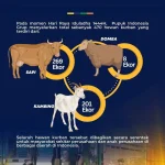 Prediksi Kenaikan 3-5% Kebutuhan Hewan Kurban Kudus pada Iduladha 2026