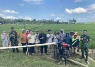 Program ODOD Gowa Dirayakan di Bontomarannu, Wujudkan Kesejahteraan Petani pada Hari Buruh