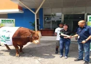 PT Bintang Toejoeh Berikan Sapi Kurban untuk Santri Dayah Wakaf Barbate