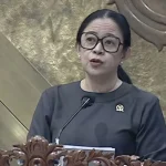 Puan Maharani Minta Pemerintah Mitigasi Hantavirus, Risiko dan Dampaknya