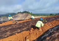 Reklamasi Bekas Tambang Andesit di Semarang Diproyeksikan Jadi Agrowisata