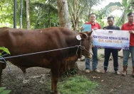 Solusi Bangun Indonesia Salurkan Bantuan Hewan Qurban untuk Masyarakat Cilacap