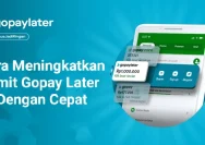 Strategi Meningkatkan Limit GoPay PayLater untuk Pengguna Cerdas