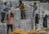 Surplus Pangan Indonesia Tembus 4,98 Juta Ton, Beras 5 Juta Ton