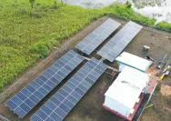 Target Prabowo: 100 GW PLTS Selesai Sebelum 2029, Indonesia Menuju Kemandirian Energi