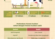 Tips Memilih Hewan Kurban Sehat dan Sesuai Syariat untuk Iduladha 2026