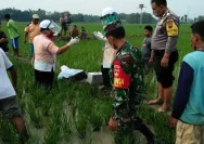 Tragedi di Grobogan: Petani Meninggal Dunia Saat Menggali Sumur di Sawah