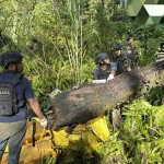 Tragedi di Yahukimo: Delapan Pendulang Emas Tewas Diteror KKB OPM