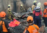 Tragedi Kebakaran Jagakarsa: Kronologi Lengkap Meninggalnya Anggota BPK Haerul Saleh