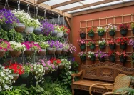 Transformasi Halaman Sempit dengan Kebun Kangkung Gantung yang Kreatif