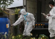 Waspada Hantavirus: Ahli Ungkap Kelompok Rentan di Jakarta