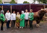 YBWSA Rayakan Idul Adha dengan Berbagi Sapi, Kambing, dan Sembako di Gunungpati