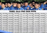 39 Daerah Indonesia Kesulitan Bayar Gaji PPPK: Paradoks Birokrasi dan Fiskal