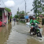 Banjir Rob Mengancam Perdesaan Tunggulsari Tayu, Petambak Tertimpa Kerugian