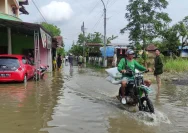 Banjir Rob Mengancam Perdesaan Tunggulsari Tayu, Petambak Tertimpa Kerugian