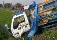 Bus Trans Banjarbakula Tabrak Truk Box dan Tercebur ke Rawa di Tanah Laut