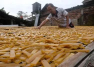 Dampak Dolar Terhadap Pusat Kerupuk Rambak di Desa Jukung, Kabupaten Rembang