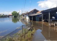 Desa Tunggulsari di Pesisir Pati Terancam Hilang Akibat Banjir Rob