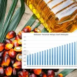 Eks Menteri Yasonna Seharusnya Tahu: Mengapa Harga Sawit Harus Kembali ke Level Semula?