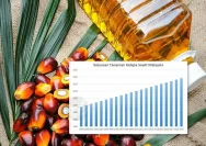 Eks Menteri Yasonna Seharusnya Tahu: Mengapa Harga Sawit Harus Kembali ke Level Semula?