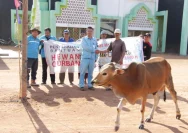 Holding Perkebunan Nusantara Sumbang 101 Hewan Kurban untuk Masyarakat Jawa Timur