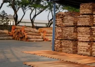 Industri Kayu Bangkit dengan Kredit Bunga 6% dan Solusi Digital