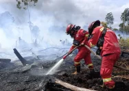 Kebakaran Hutan Meluas, Pemadam Kekurangan Personel dan Medan Sulit