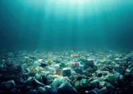 Laut Mengembalikan Limbah: Ancaman Keamanan Pangan Global Meningkat