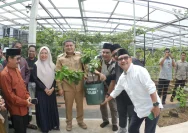 Makassar Dorong Gerakan Pilah Sampah dan Urban Farming