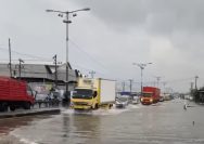 Pantura Jawa Menghadapi Ancaman Banjir Rob Perman