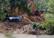 PETI di Bukit Batu Sungai Manau: Warga Desak Aparat Telusuri Dugaan Keterlibatan Azral
