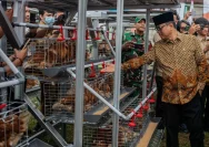 Polemik Koperasi Merah Putih di Sejumlah Daerah: Antara Kebangkitan Ekonomi Lokal dan Tantangan Pembangunan