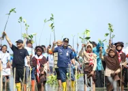 Taj Yasin Ajak Ratusan Santri Tanam Mangrove di Rembang untuk Melindungi Pesisir